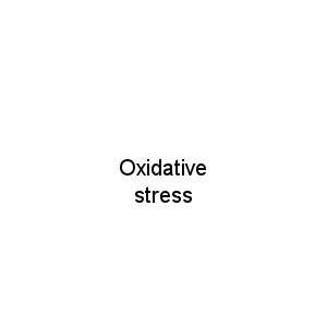 Oxidative stress